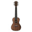 Amumu ASMA-CB All Solid Mahogany Concert Ukulele