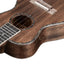 Amumu ASMA-CB All Solid Mahogany Concert Ukulele
